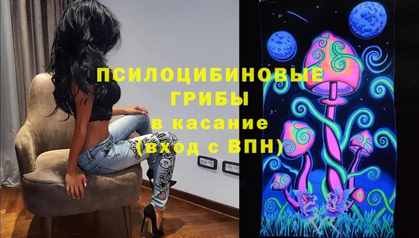 ГАЛЛЮЦИНОГЕННЫЕ ГРИБЫ Коряжма