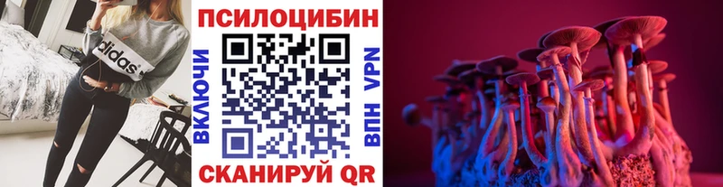 Галлюциногенные грибы прущие грибы  наркотики  Ессентуки 